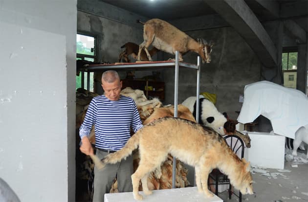 中國當代藝術家蔡國強「歸去來兮」個人展覽 @ Queensland Art Gallery