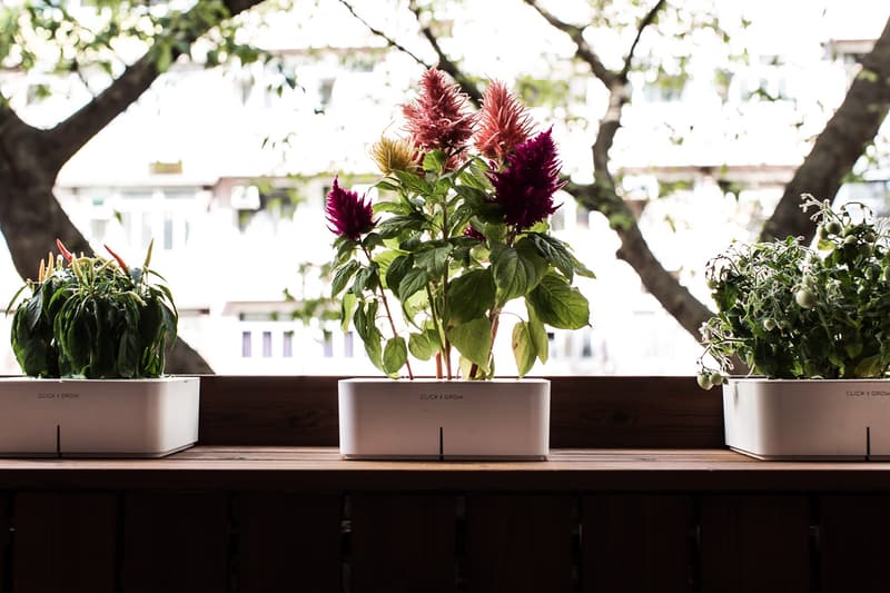 WOAW! 店鋪盛大開幕