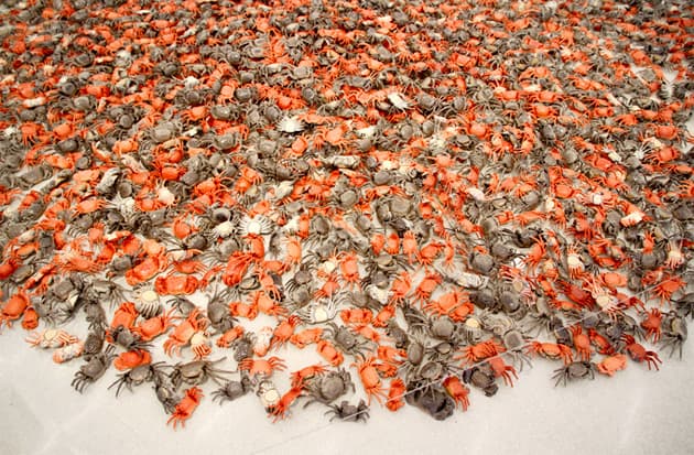 艾未未「According to What?」個人展覽 @ Perez Art Museum Miami