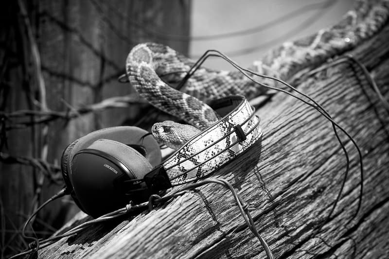 Eric Koston x Skullcandy 簽名式耳機系列