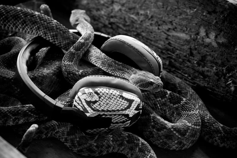 Eric Koston x Skullcandy 簽名式耳機系列