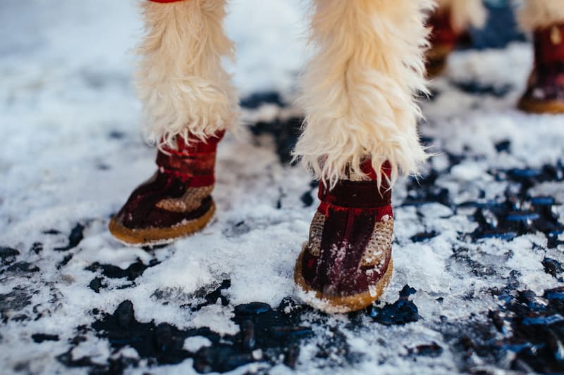 #OnFeet：Agenda New York 2014 球鞋街拍