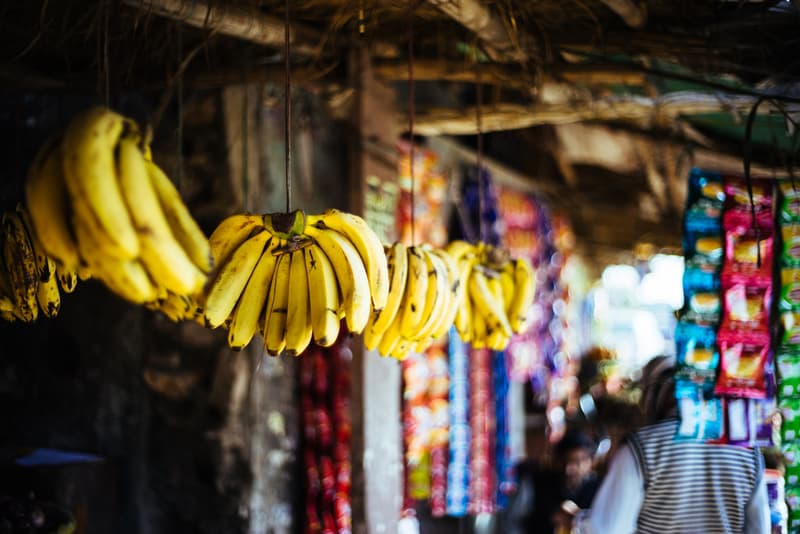 The Review: Sony Alpha a7R 相機深度測試評析