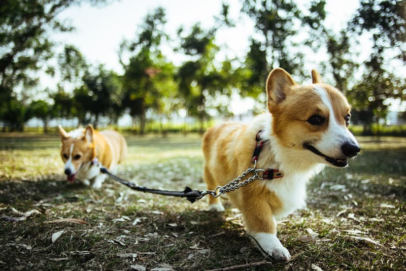 The Review: Sony Alpha a7R 相機深度測試評析