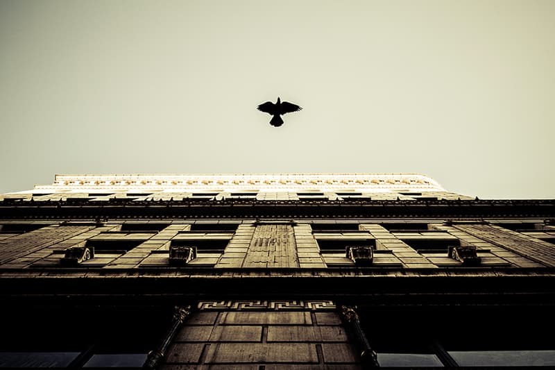 THROUGH THE LENS: 攝影師 Theonepointeight