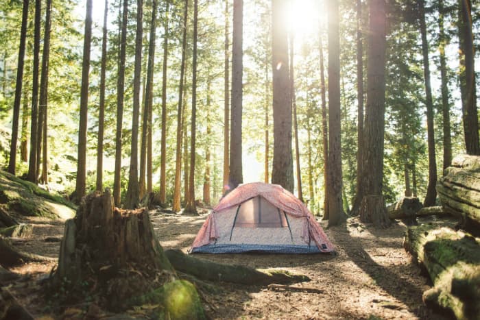 率先預覽 Liberty of London x Herschel Supply Co. 2014 聯乘系列