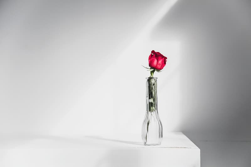 Markeidric Walker x Wish Atlanta「Roses」黑人曆史月別注系列