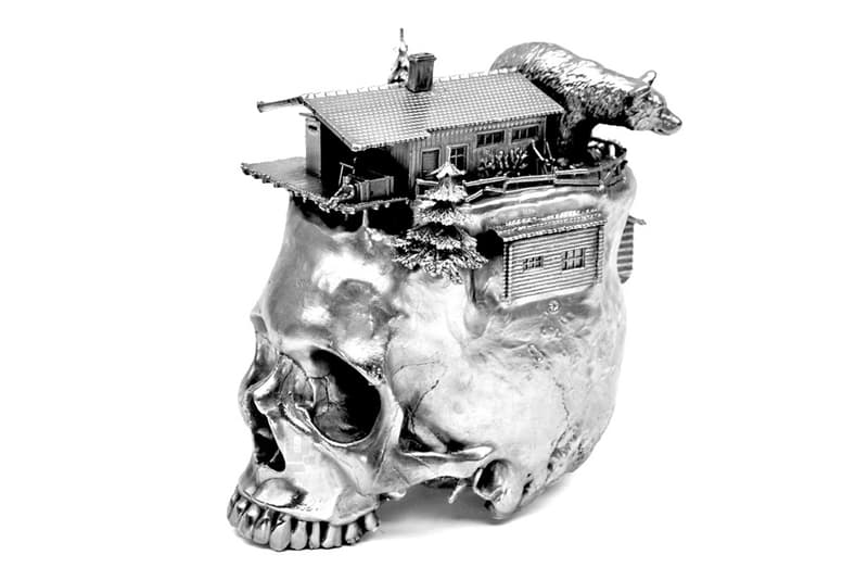 Frodo Mikkelsen 微觀景物骷髏頭作品