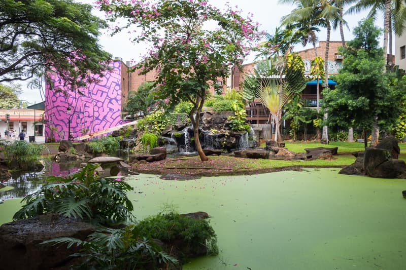 POW WOW 2014 藝術盛會回顧