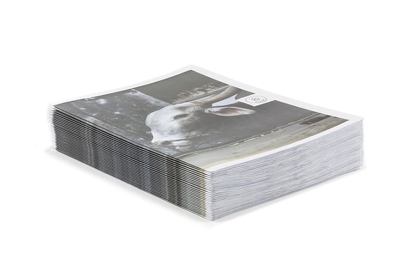 《Steady Zine》最新一期「Holi」期刊深入探索印度