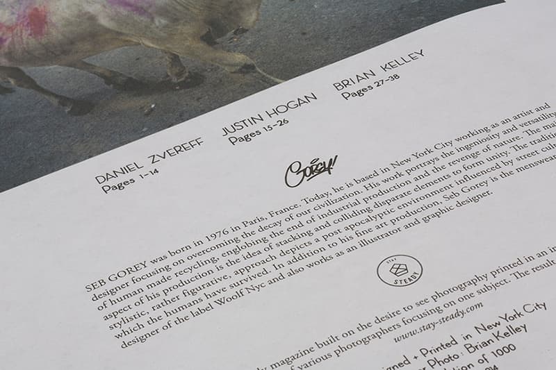 《Steady Zine》最新一期「Holi」期刊深入探索印度