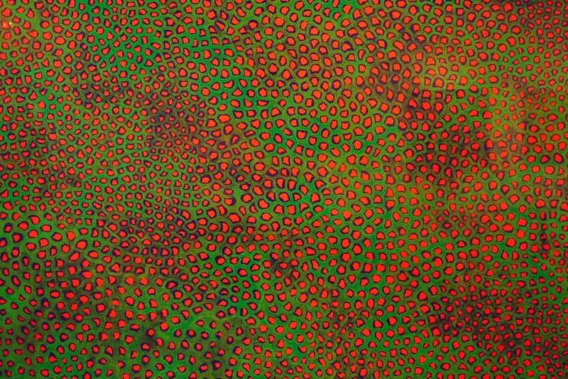 草間彌生「A Dream I Dreamed」上海當代藝術館展覽回顧