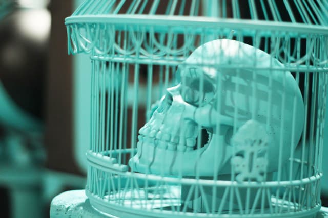 AkaCorleone「Find Yourself In Chaos」Underdogs Gallery 藝術展覽