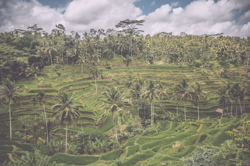 THROUGH THE LENS: 攝影師 Tomek Makolski