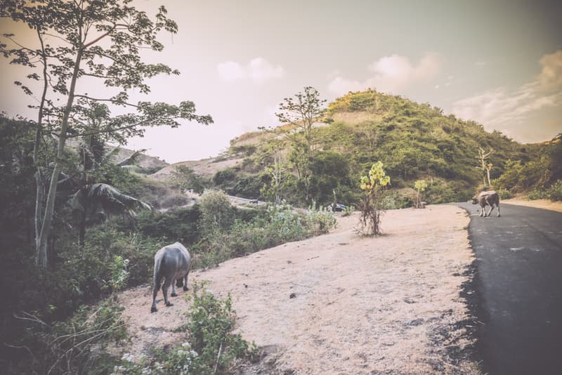 THROUGH THE LENS: 攝影師 Tomek Makolski