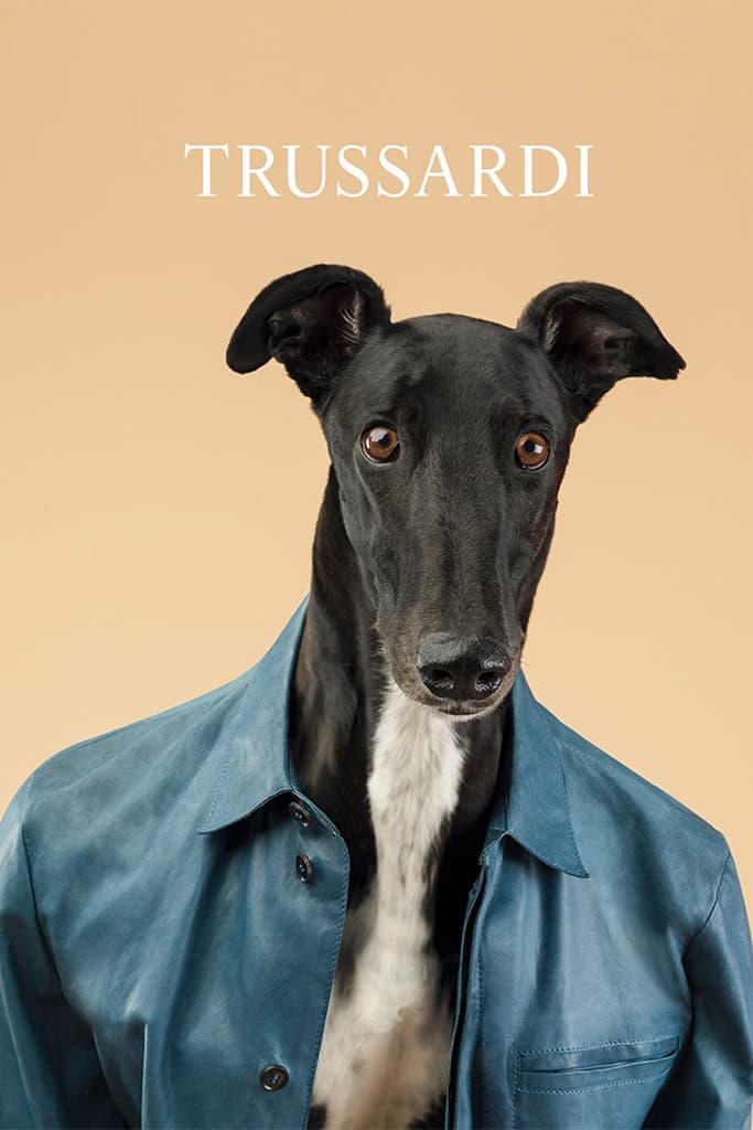 Trussardi 2014 春夏系列宣傳廣告