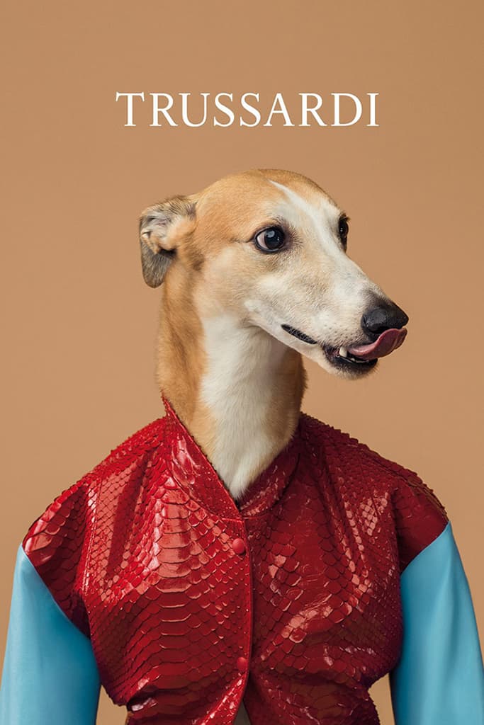 Trussardi 2014 春夏系列宣傳廣告