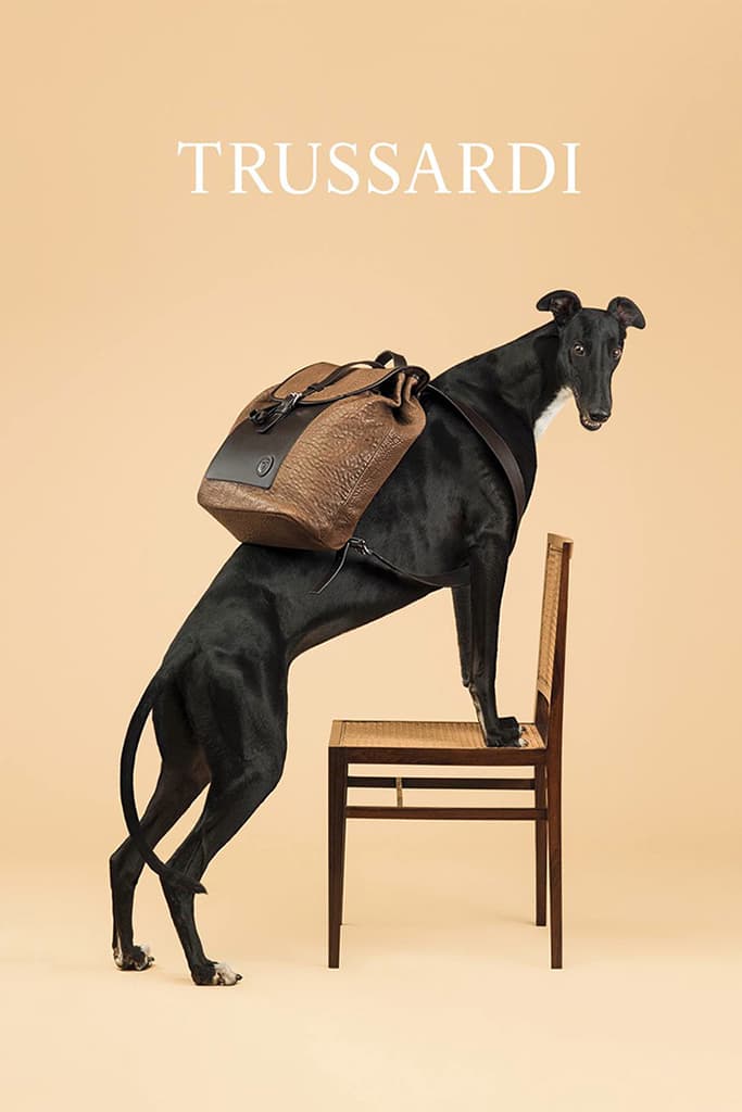 Trussardi 2014 春夏系列宣傳廣告