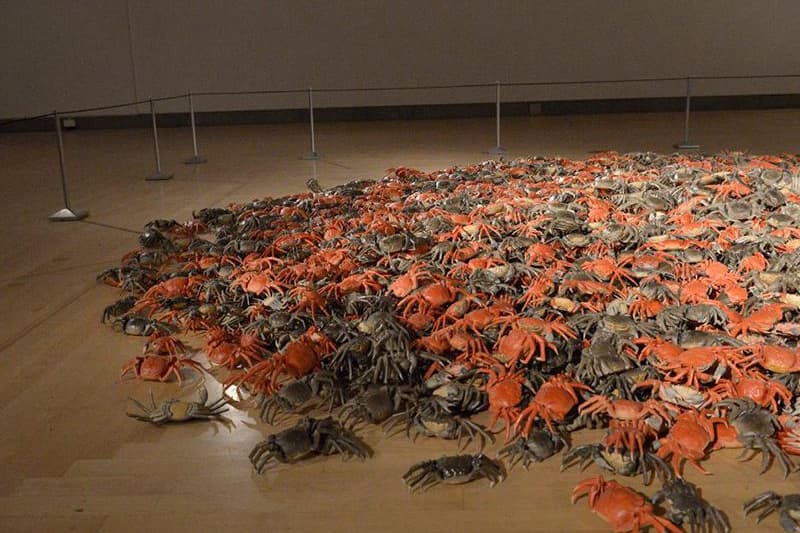 艾未未「According To What」Brooklyn Museum 藝術展覽 