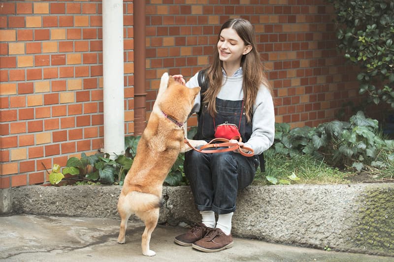 houyhnhnm 拍攝 master-piece 20 週年造型特輯