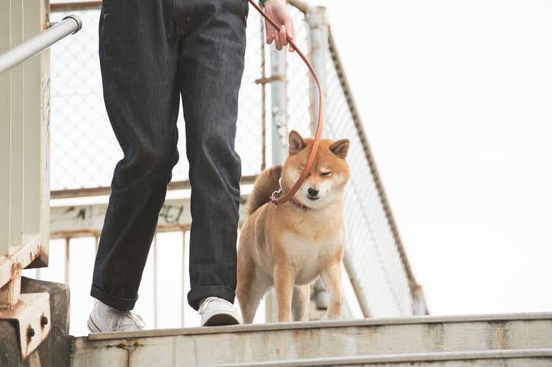 houyhnhnm 拍攝 master-piece 20 週年造型特輯