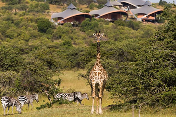 Richard Branson 於肯尼亞開設遊獵度假酒店 Mahali Mzuri 