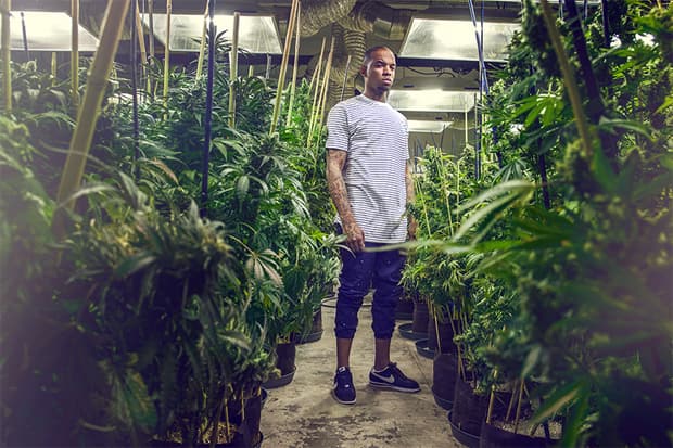 Akomplice 2014 夏季系列造型搭配 Lookbook