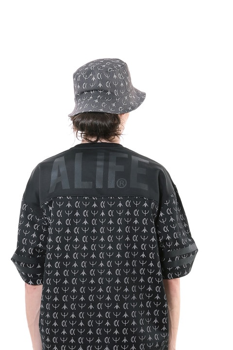 Alife 2014 夏季系列