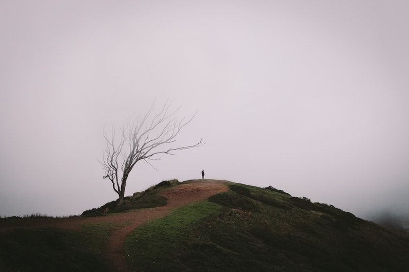 VSCO 獲得 $4,000 萬美元融資發展國際市場