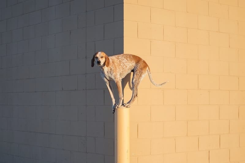 VSCO 獲得 $4,000 萬美元融資發展國際市場