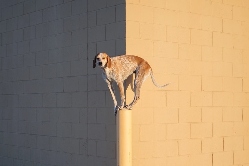 VSCO 獲得 $4,000 萬美元融資發展國際市場