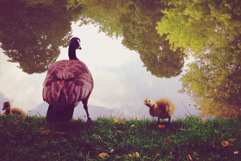 2014 年度 iPhone 攝影獎公佈