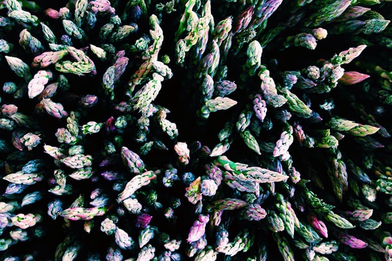 2014 年度 iPhone 攝影獎公佈