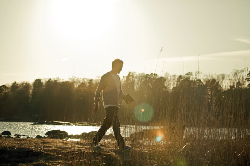 Element 全新 Catalina 鞋款