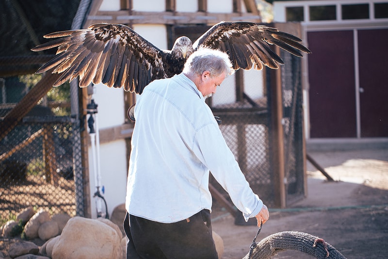Patagonia 推出《Birds of Prey》書籍