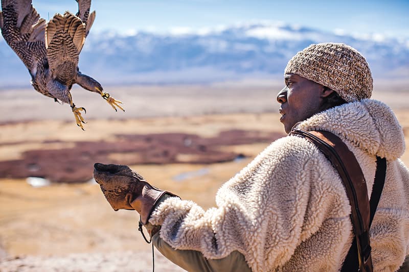 Patagonia 推出《Birds of Prey》書籍