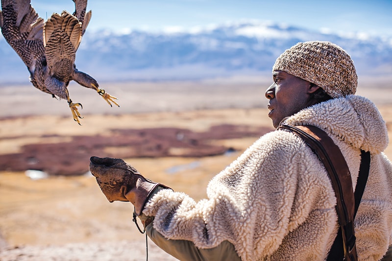 Patagonia 推出《Birds of Prey》書籍