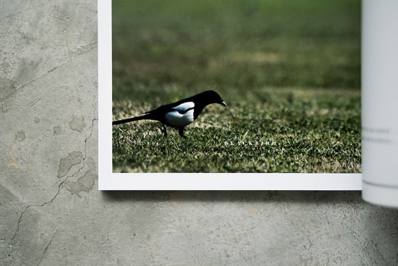 《Blackbird》第四期「Mastercraft」