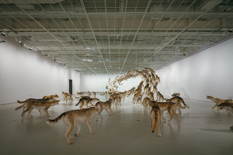 《蔡國強:九級浪》大型個人展覽 @ 上海當代藝術博物館