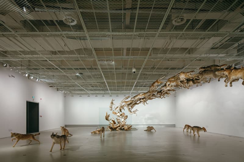 《蔡國強：九級浪》大型個人展覽 @ 上海當代藝術博物館