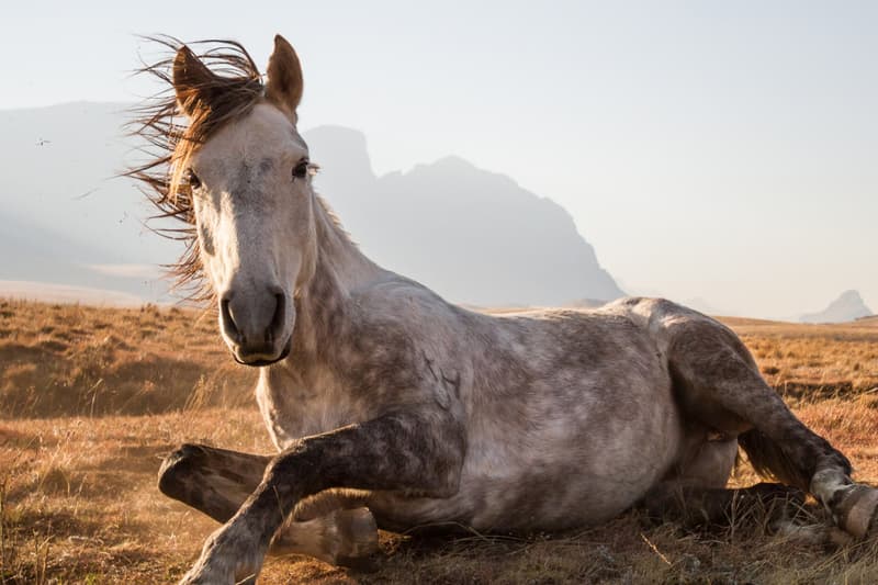 《國家地理》雜誌 2014 旅遊攝影比賽獲獎作品
