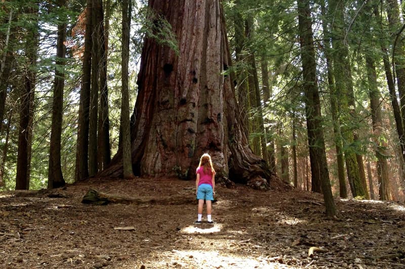 《國家地理》雜誌 2014 旅遊攝影比賽獲獎作品