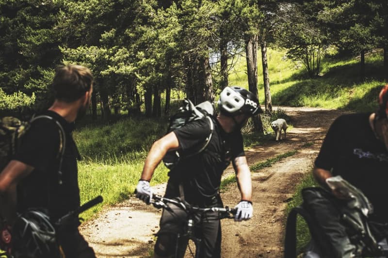 ACRE《Guide to Getting Lost》影集 