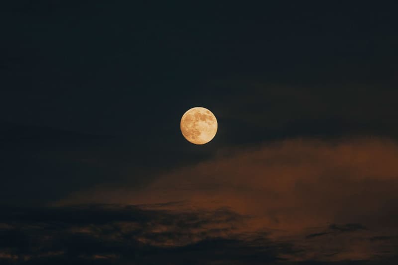 Hotel 1171 2014 秋冬「[No] Vacancy」Lookbook