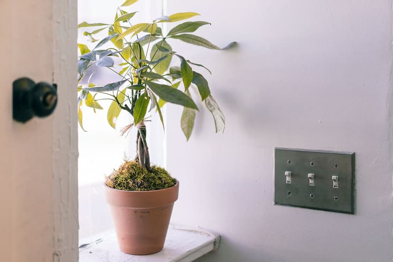 Parabellum 於洛杉磯開設首間旗艦店