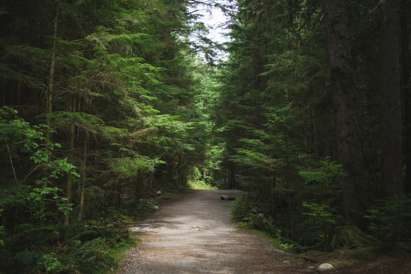 HYPEBEAST City Guide – 溫哥華城市指南