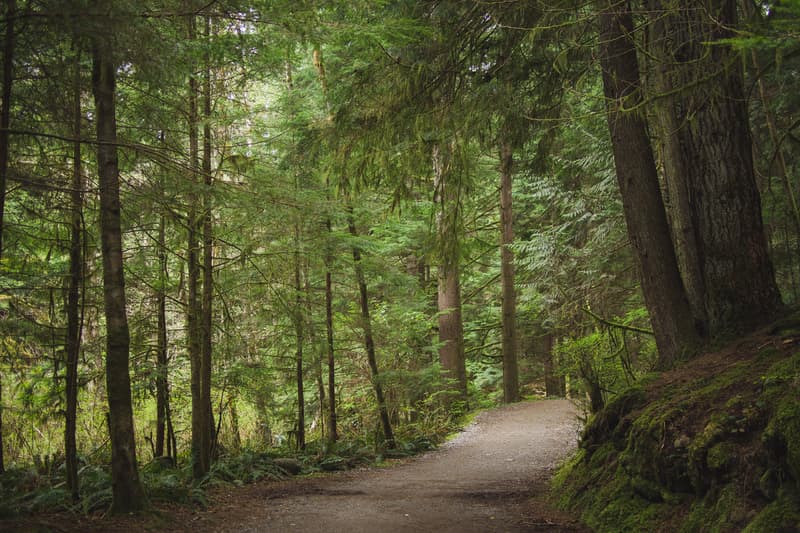 HYPEBEAST City Guide – 溫哥華城市指南