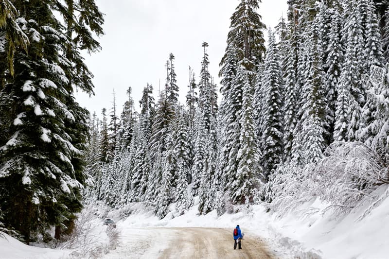 686 2014 秋冬系列造型搭配 Lookbook