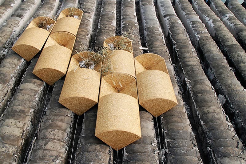 ODD 於北京打造胡同屋頂貓穴