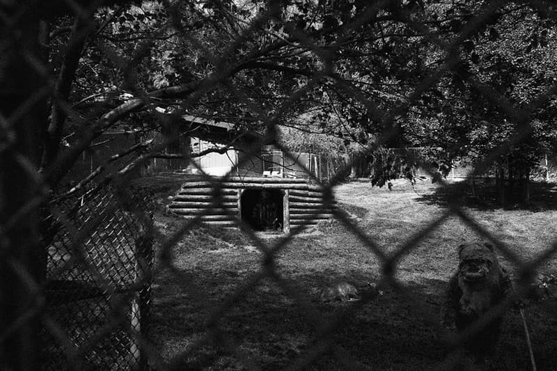 攝影師 Thomas Dagg 創作「現實」版 Star Wars 